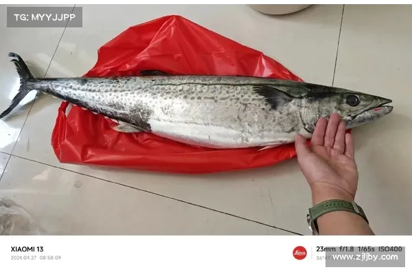 鲁尼揭露个人恐惧症:我对鱼尤其是大鱼有着无法克服的恐惧 鲁尼揭露个人恐惧症:我对鱼尤其是大鱼有着无法克服的恐惧