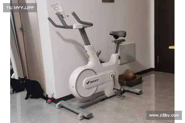 智能家用健身器材助力健康生活 提升居家锻炼效果的多功能选择 智能家用健身器材助力健康生活 提升居家锻炼效果的多功能选择