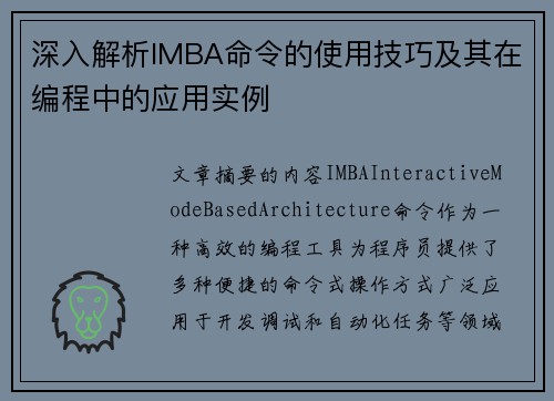 深入解析IMBA命令的使用技巧及其在编程中的应用实例